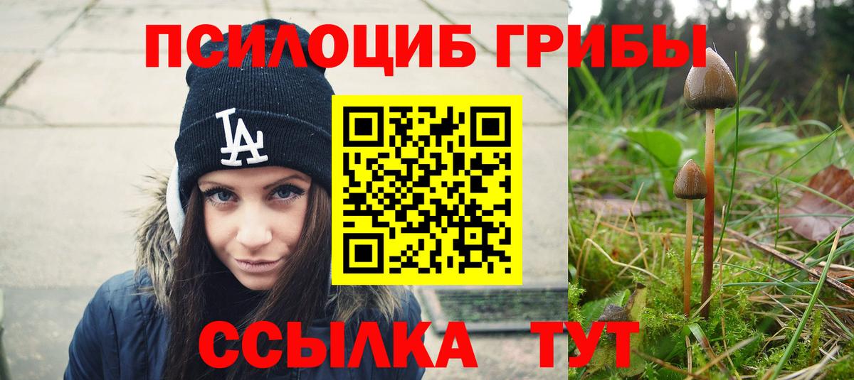 Галлюциногенные грибы Psilocybine cubensis Славгород