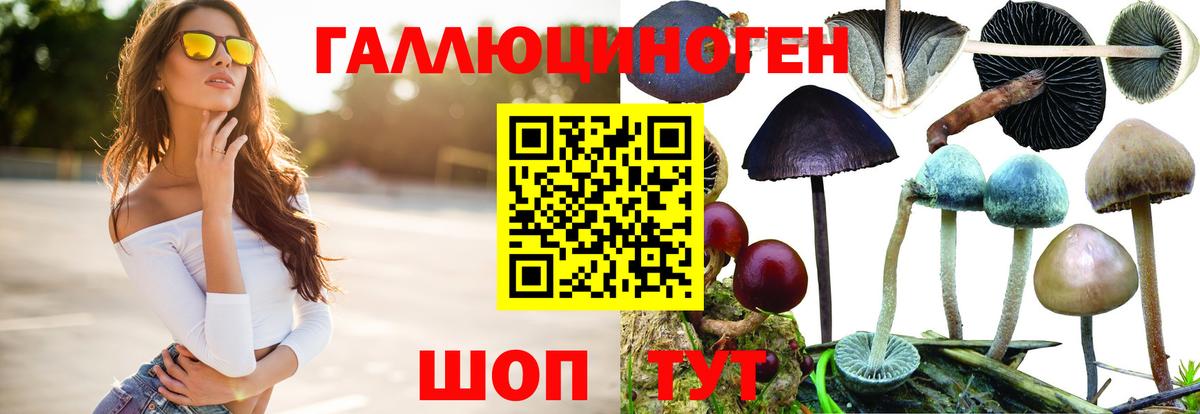 Славгород  Псилоцибиновые грибы ЛСД  Галлюциногенные грибы Psilocybe  Вход с VPN 
